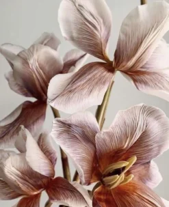 Semikolon Album na zdjęcia Natural Affair Medium - - Blossom