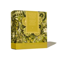 Ferris Wheel Press Atrament - - Festival Grove, 38 ml > Atramenty