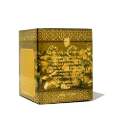 Ferris Wheel Press Atrament FerriTales The Book of Knights - - Sunforged Solace 20 ml