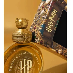 Ferris Wheel Press Atrament Harry Potter - - The Golden Snitch 38 ml