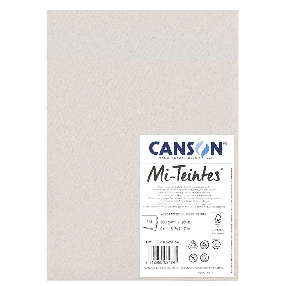 Canson Blok do pasteli Mi-Teintes - - odcienie szarości, A4, 160 g, 10 ark.