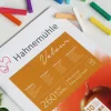 Hahnemuhle Blok do pasteli Velour Pad 30 x 40 cm - Hahnemühle - Colored 260 g/m2 10 ark. > Papier Do Pasteli