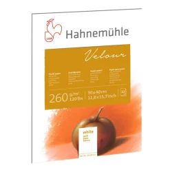 Hahnemuhle Blok do pasteli Velour Pad 30 x 40 cm - Hahnemühle - Colored 260 g/m2 10 ark. ><noscript><img width=