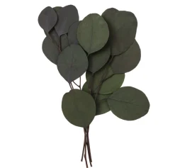 dpCraft Eukaliptus Populus - - zielony, 20 cm, 4 szt.