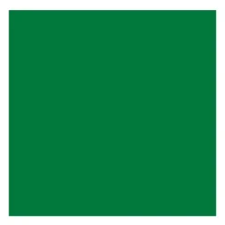 Rembrandt Farba akrylowa - - Permanent Green Deep, 40 ml > Farby Akrylowe