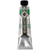 Rembrandt Farba akrylowa - - Permanent Green Medium, 40 ml > Farby Akrylowe
