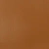 Liquitex Farba akrylowa Soft Body - - Raw Sienna, 59 ml