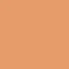 Liquitex Farba akrylowa w spray'u - - Raw Sienna 5, 400 ml