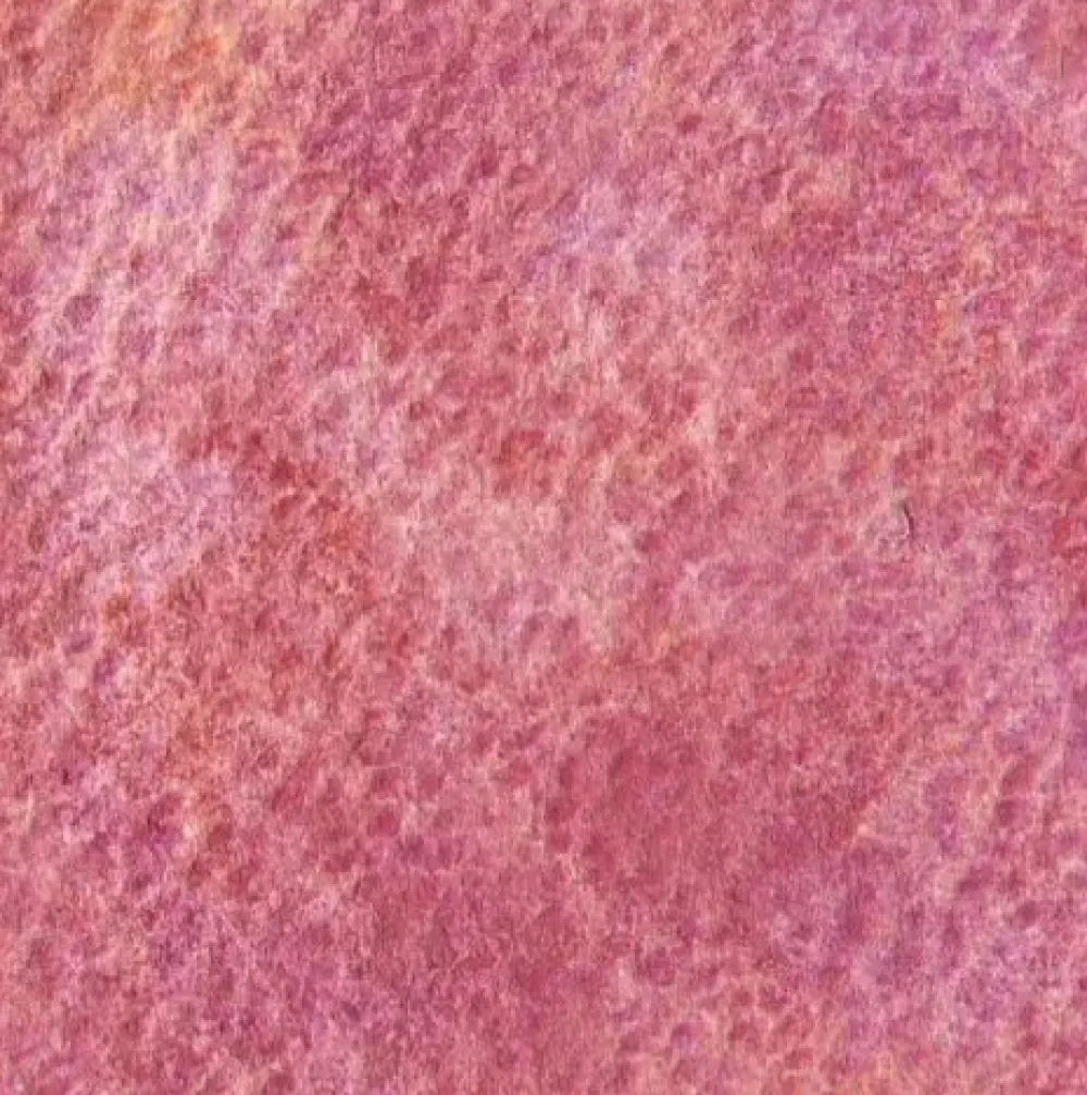 Holbein Farba akwarelowa Artists’ Watercolor - - Twilight Purple, 5 ml