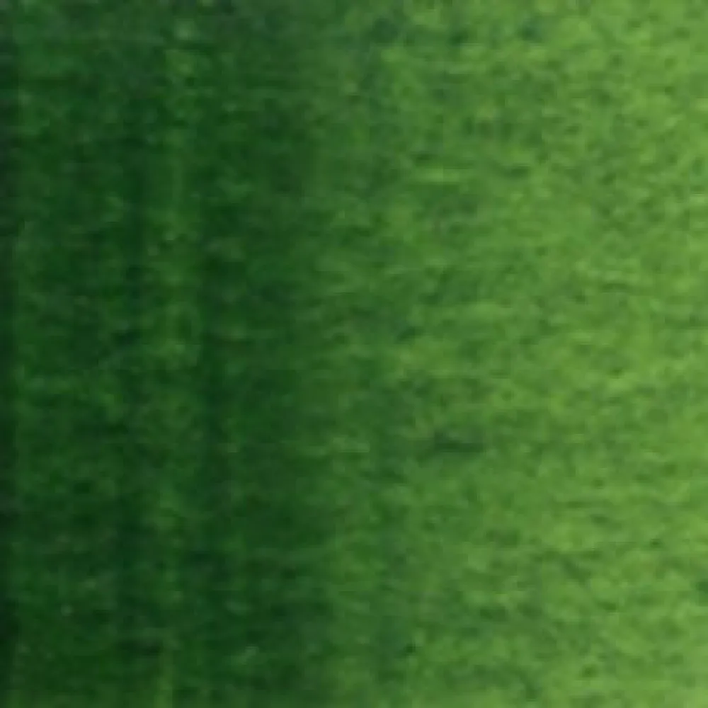 Holbein Farba akwarelowa Artists’ Watercolor - - Sap Green, 5 ml