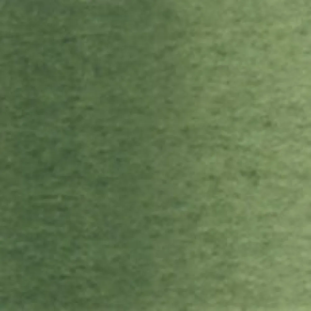 Holbein Farba akwarelowa Artists’ Watercolor - - Shadow Green, 5 ml > Farby Akwarelowe