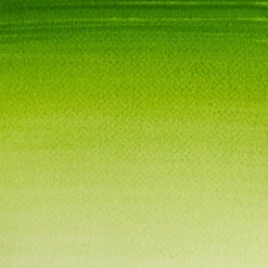 Winsor & Newton Farba akwarelowa Cotman - - Sap Green, półkostka