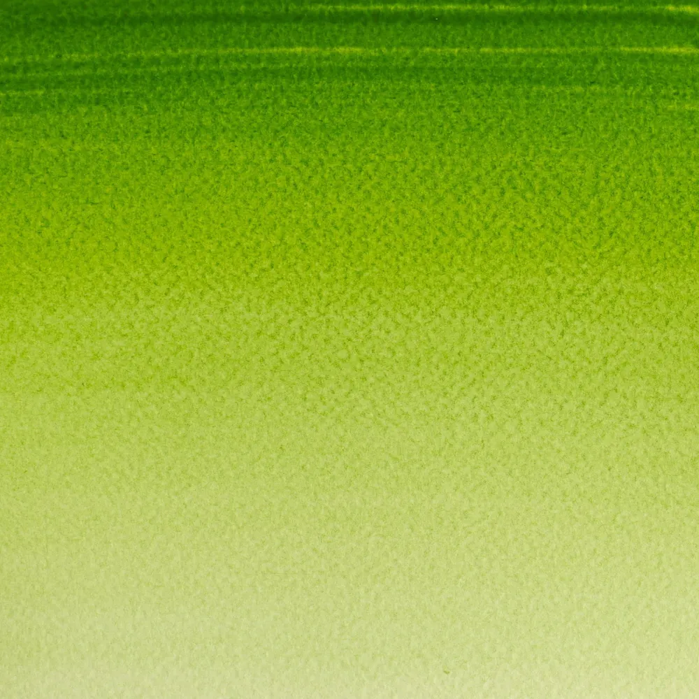 Winsor & Newton Farba akwarelowa Cotman - - Raw Umber, półkostka > Farby Akwarelowe