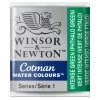 Winsor & Newton Farba akwarelowa Cotman - - Intense Green, półkostka