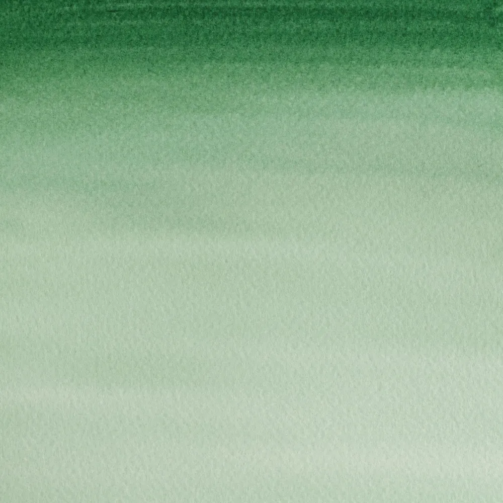 Winsor & Newton Farba akwarelowa Cotman - - Hooker's Green Dark, półkostka > Farby Akwarelowe
