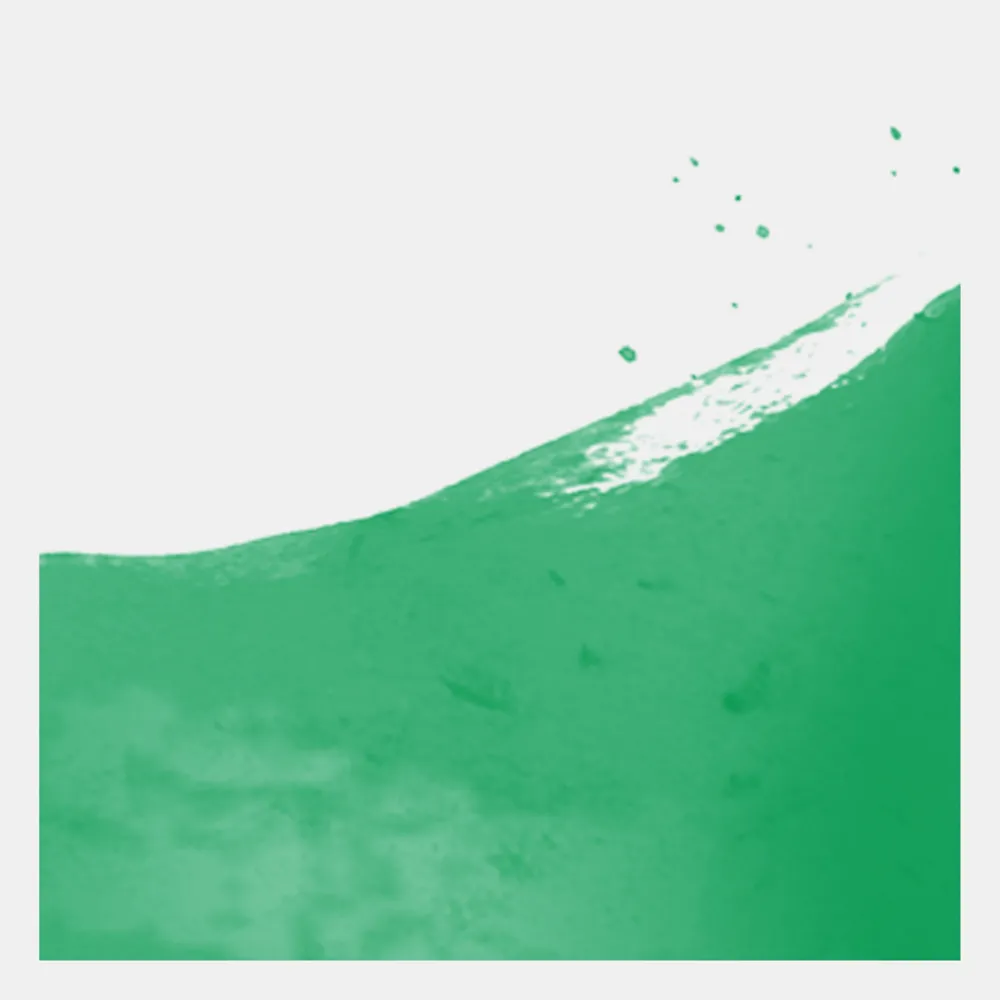 Talens Farba akwarelowa Ecoline - - Forest Green, 30 ml > Farby Akwarelowe