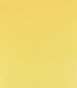 Schmincke Farba akwarelowa Horadam Aquarell - - 205, Rutile Yellow, 15 ml