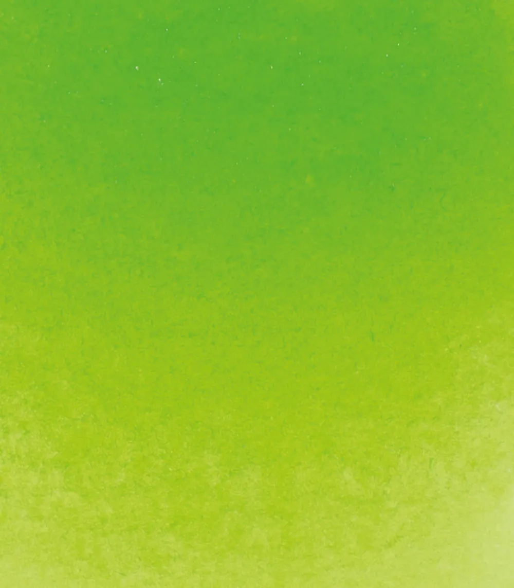 Schmincke Farba akwarelowa Horadam Aquarell - - 525, Olive Green Yellowish, 15 ml > Farby Akwarelowe
