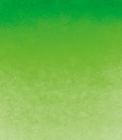 Schmincke Farba akwarelowa Horadam Aquarell - - 526, Permanent Green, 15 ml