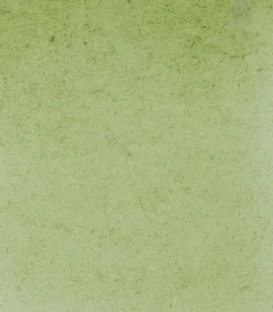 Schmincke Farba akwarelowa Horadam Aquarell - - 516, Green Earth > Farby Akwarelowe