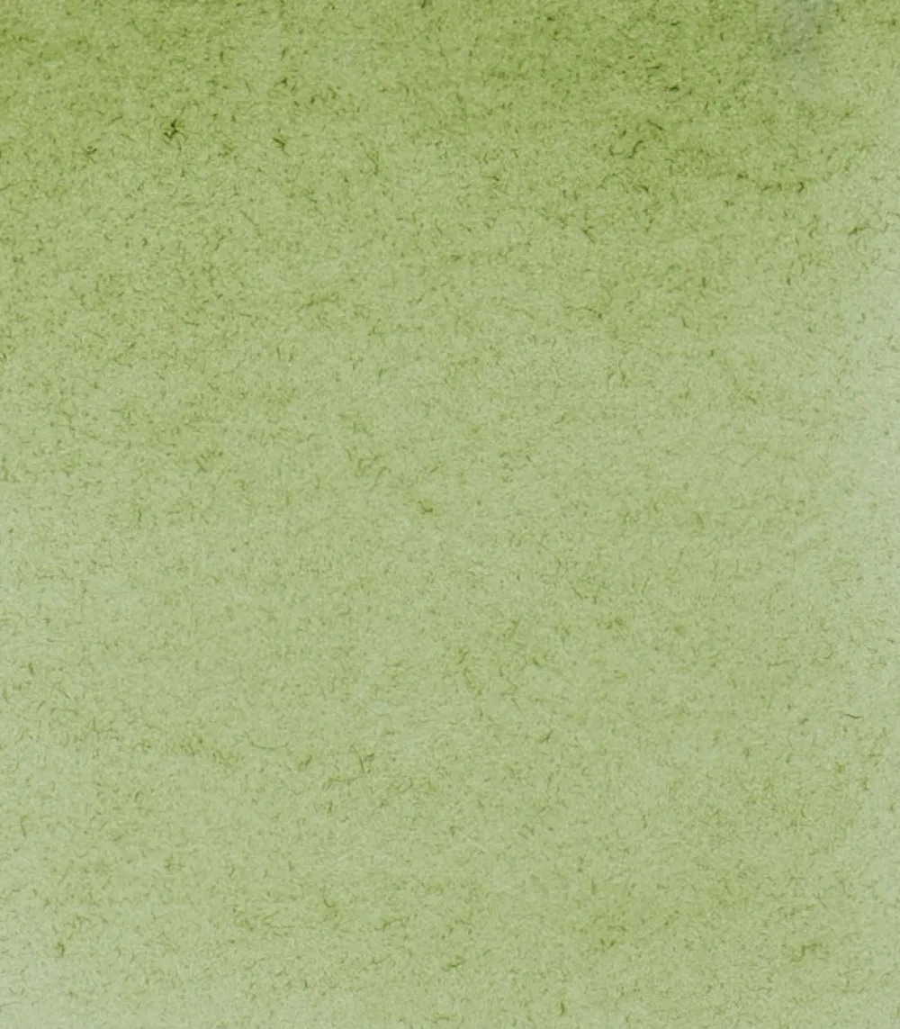 Schmincke Farba akwarelowa Horadam Aquarell - - 516, Green Earth > Farby Akwarelowe