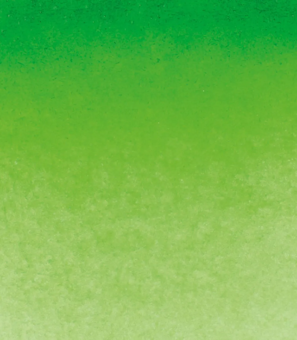 Schmincke Farba akwarelowa Horadam Aquarell - - 526, Permanent Green