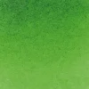 Schmincke Farba akwarelowa Horadam Aquarell - - 530, Sap Green