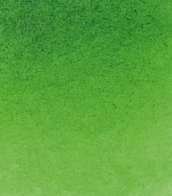 Schmincke Farba akwarelowa Horadam Aquarell - - 530, Sap Green
