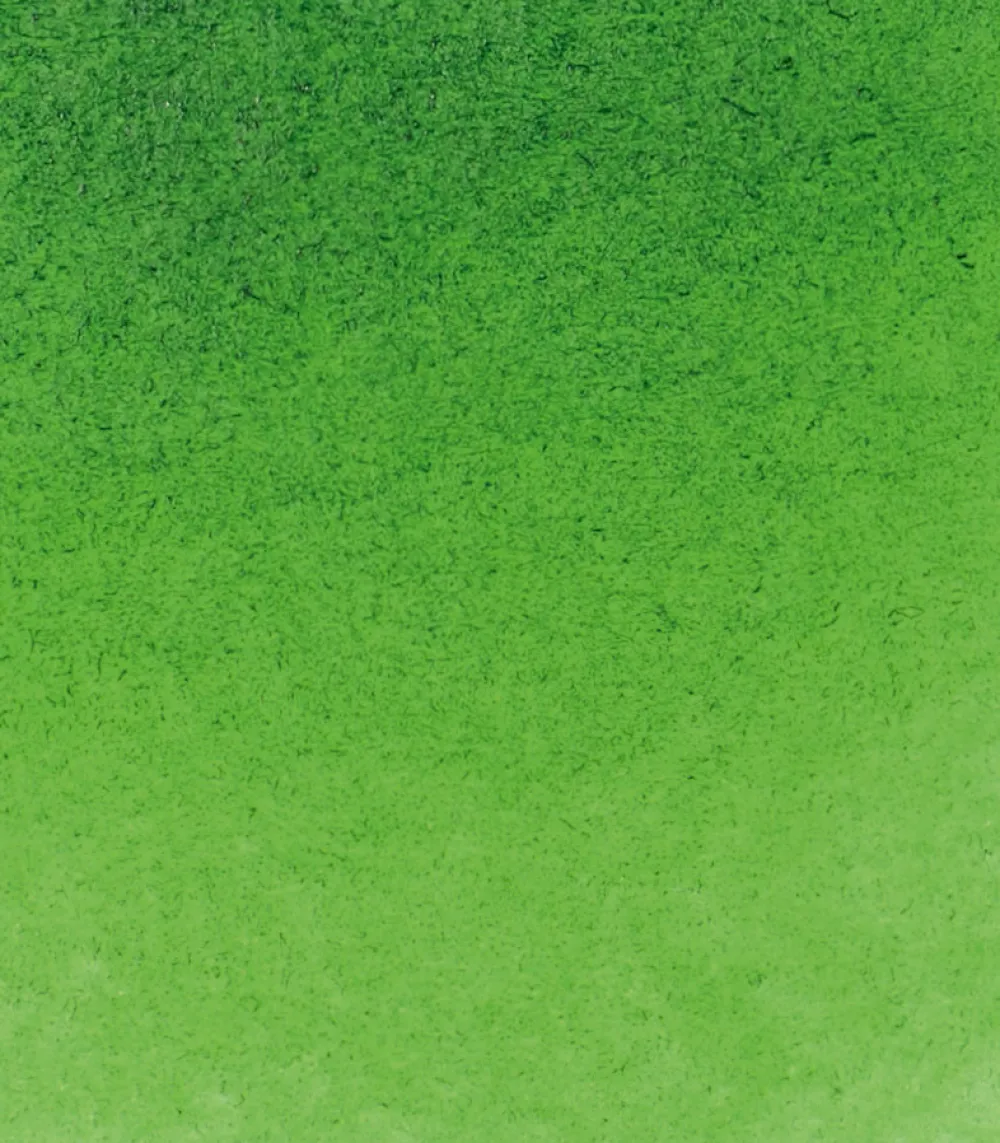 Schmincke Farba akwarelowa Horadam Aquarell - - 530, Sap Green