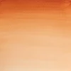 Winsor & Newton Farba akwarelowa Professional w półkostce - - Burnt Sienna