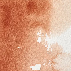 Winsor & Newton Farba akwarelowa Professional w półkostce - - Burnt Sienna