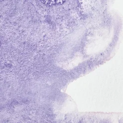 Winsor & Newton Farba akwarelowa Professional w półkostce - - Ultramarine Violet