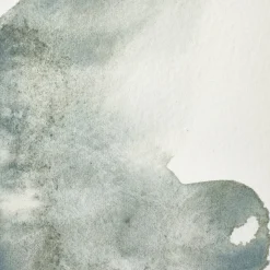 Winsor & Newton Farba akwarelowa Professional w półkostce - - Mineral Grey