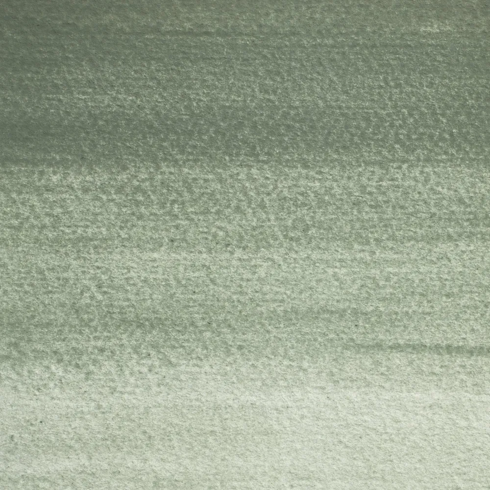 Winsor & Newton Farba akwarelowa Professional w półkostce - - Ostwald Grey > Farby Akwarelowe