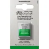 Winsor & Newton Farba akwarelowa Professional w półkostce - - Viridian Hue > Farby Akwarelowe