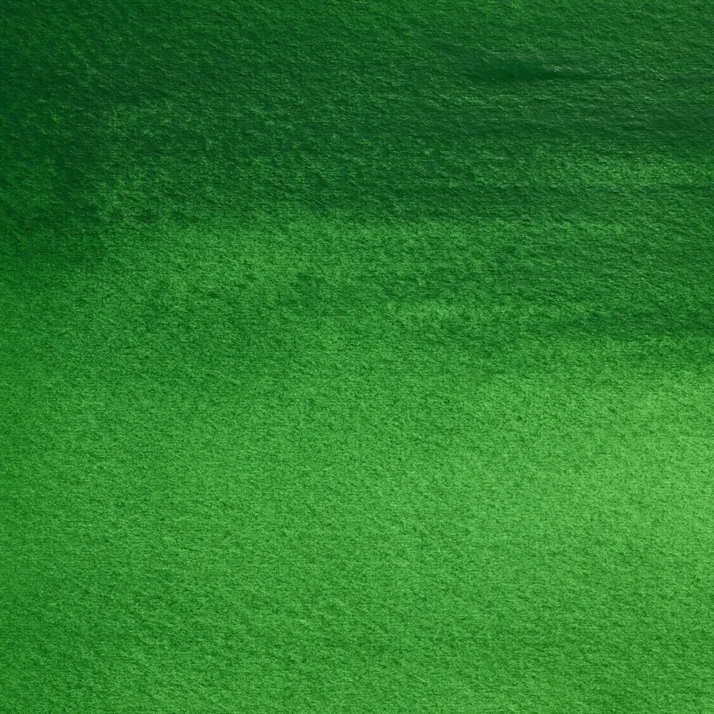 Winsor & Newton Farba akwarelowa Professional w półkostce - - Viridian Hue > Farby Akwarelowe