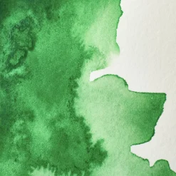 Winsor & Newton Farba akwarelowa Professional w półkostce - - Viridian Hue ><noscript><img width=