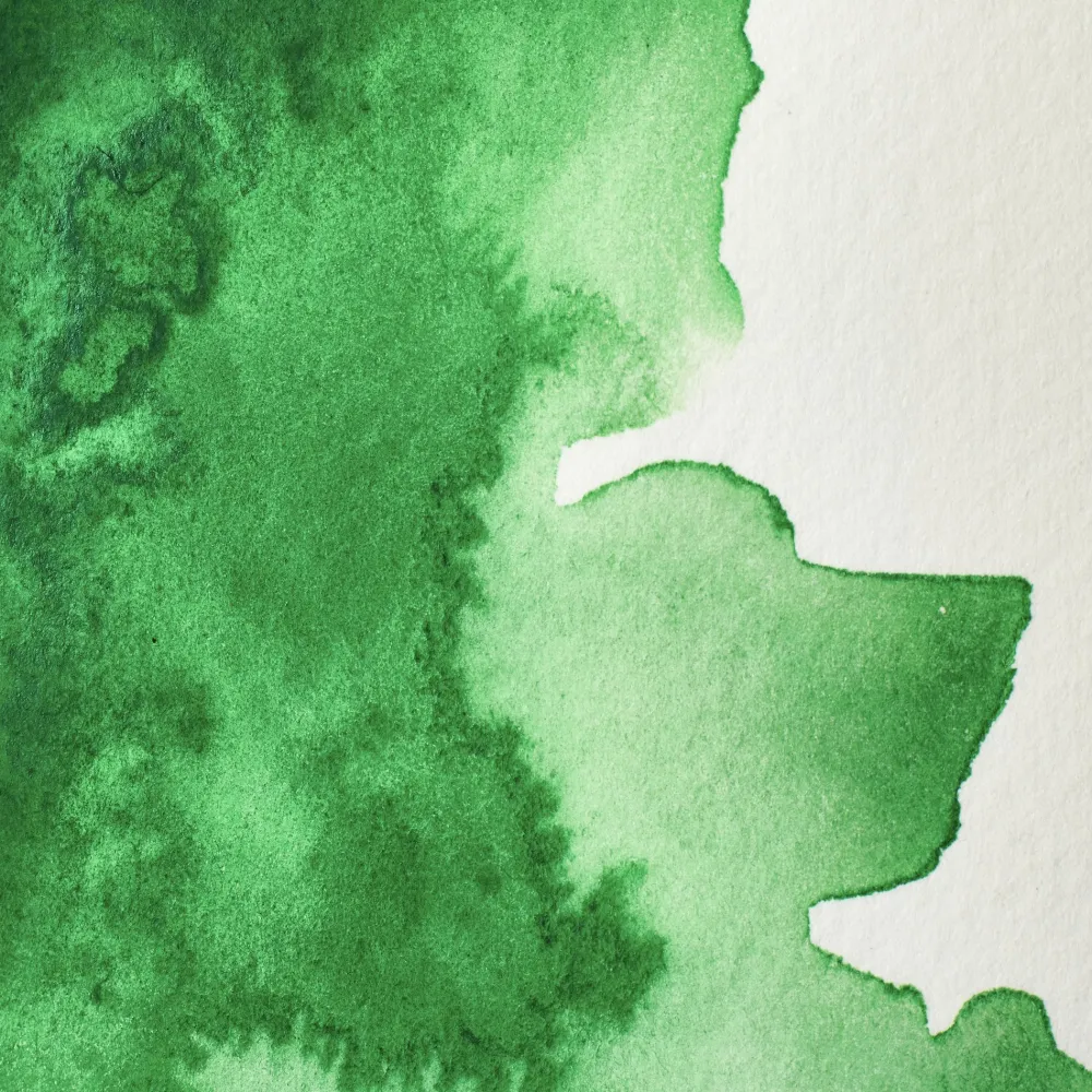 Winsor & Newton Farba akwarelowa Professional w półkostce - - Viridian Hue > Farby Akwarelowe
