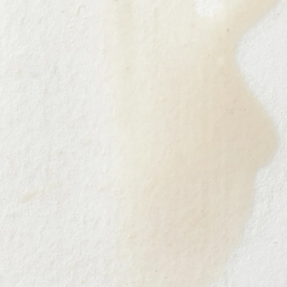 Winsor & Newton Farba akwarelowa Professional w półkostce - - China White