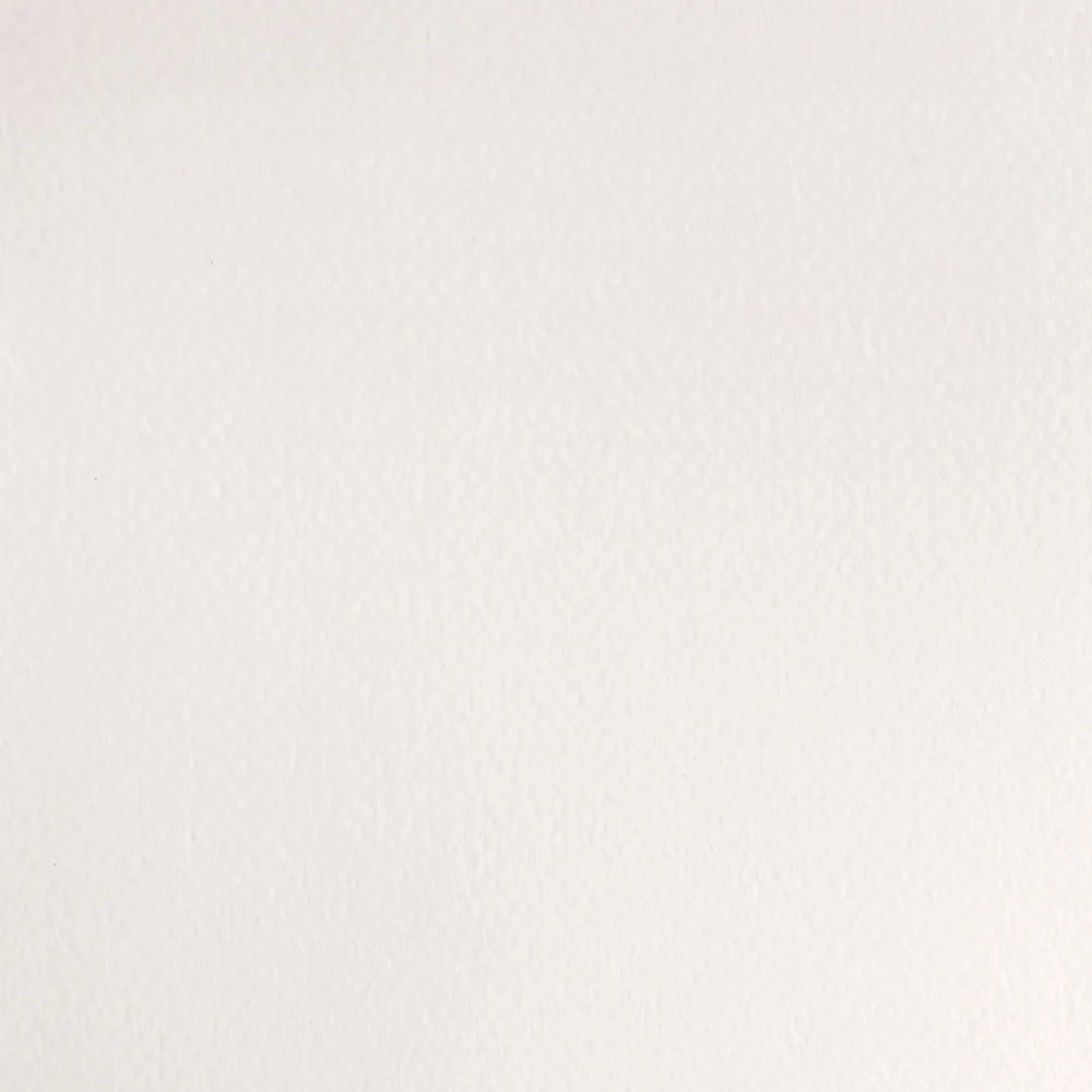 Winsor & Newton Farba akwarelowa Professional w półkostce - - China White