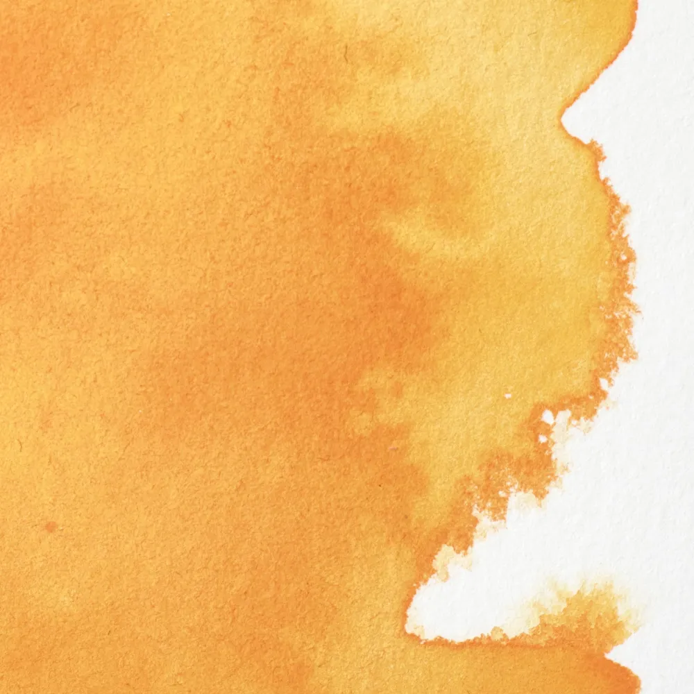 Winsor & Newton Farba akwarelowa Professional w półkostce - - Cadmium Free Yellow Deep