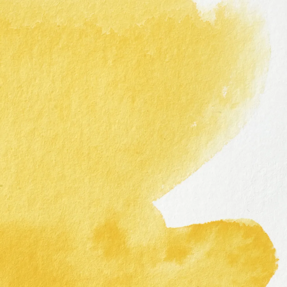 Winsor & Newton Farba akwarelowa Professional w półkostce - - Cadmium Free Lemon > Farby Akwarelowe