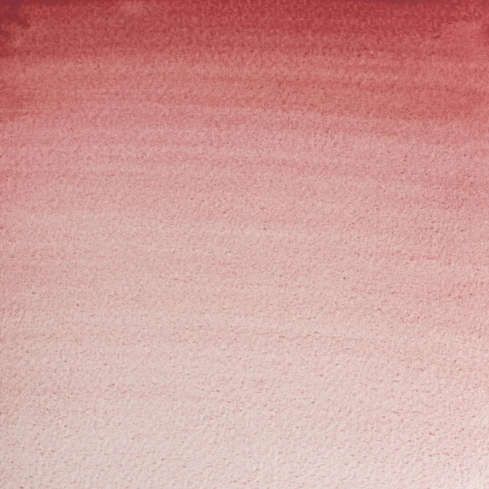 Winsor & Newton Farba akwarelowa Professional w półkostce - - Potter's Pink