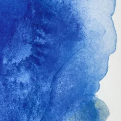 Winsor & Newton Farba akwarelowa Professional w półkostce - - Ultramarine (Green Shade)