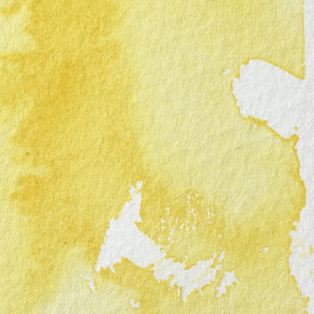 Winsor & Newton Farba akwarelowa Professional w półkostce - - Yellow Ochre Light > Farby Akwarelowe