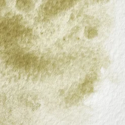Winsor & Newton Farba akwarelowa Professional w półkostce - - Terre Verte (Yellow Shade)