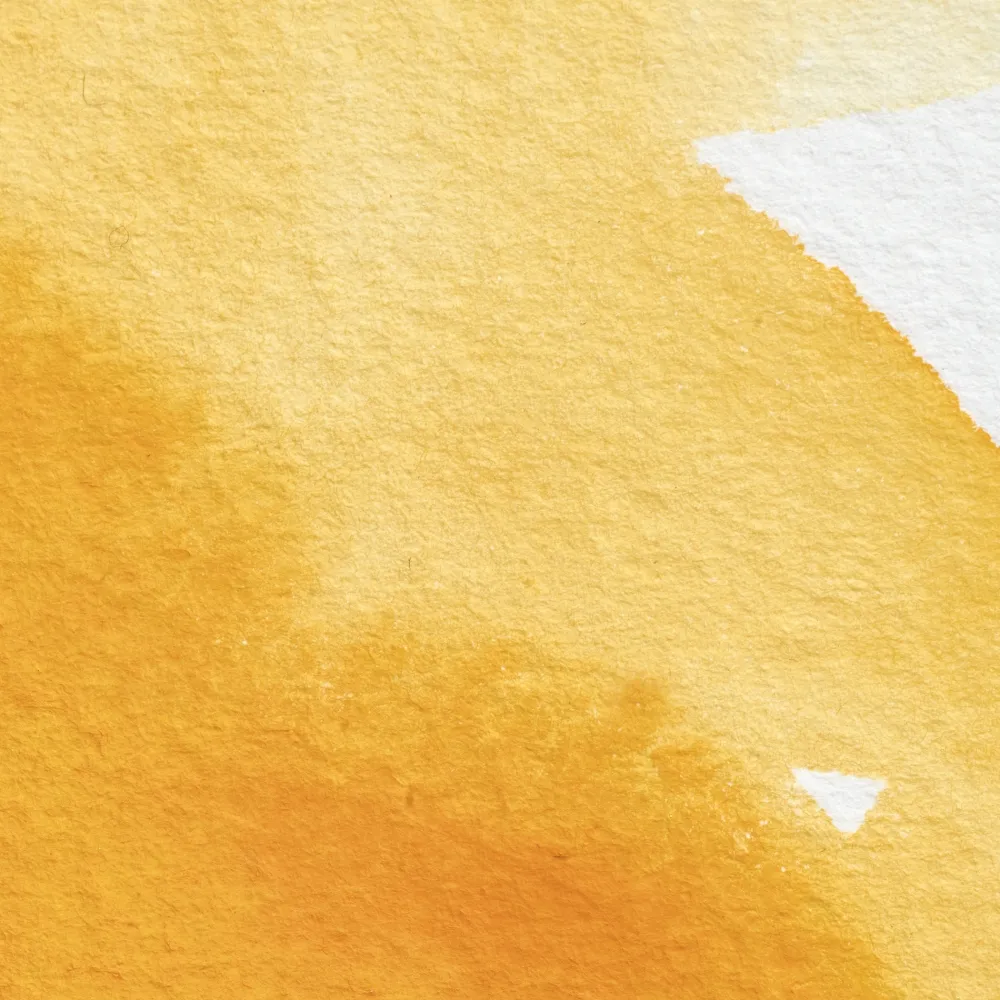 Winsor & Newton Farba akwarelowa Professional w półkostce - - Transparent Gold Deep > Farby Akwarelowe
