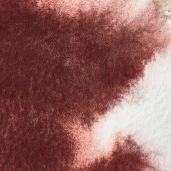 Winsor & Newton Farba akwarelowa Professional w półkostce - - Caput Mortuum Violet