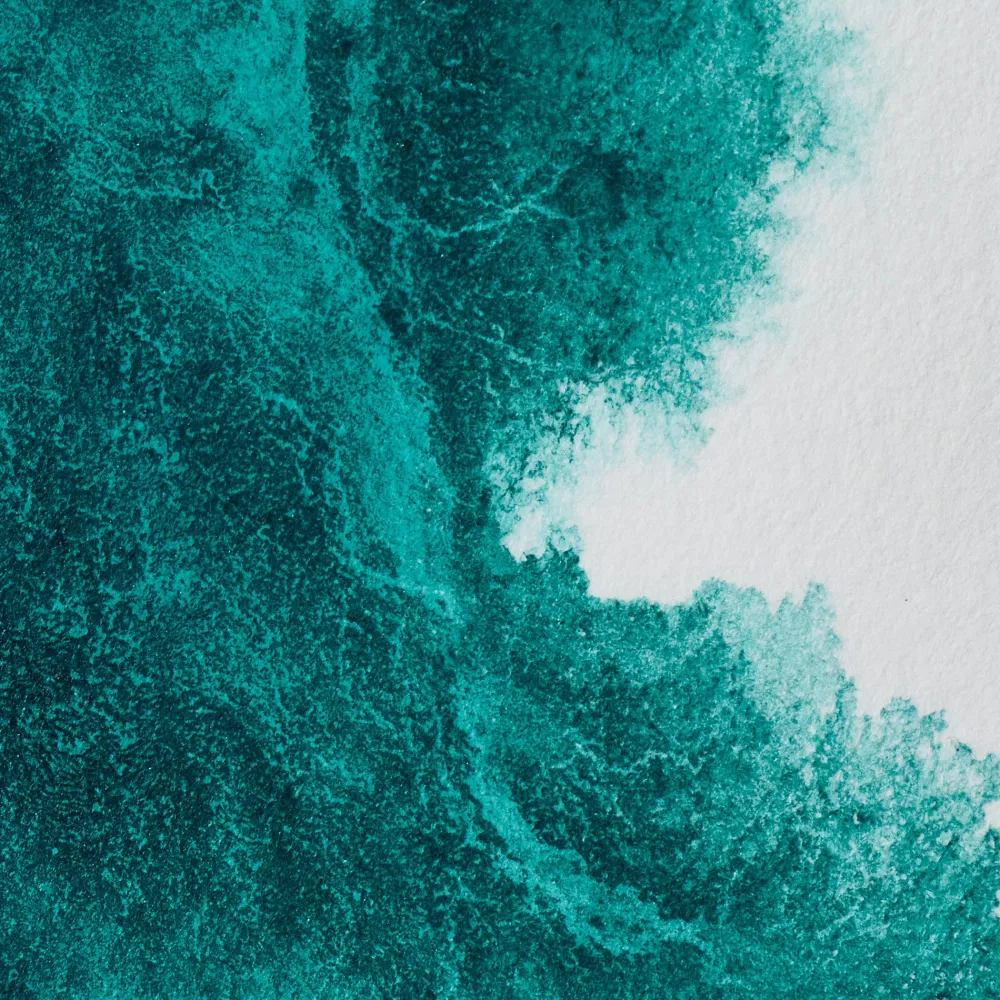 Winsor & Newton Farba akwarelowa Professional w półkostce - - Winsor Blue (Green Shade) > Farby Akwarelowe