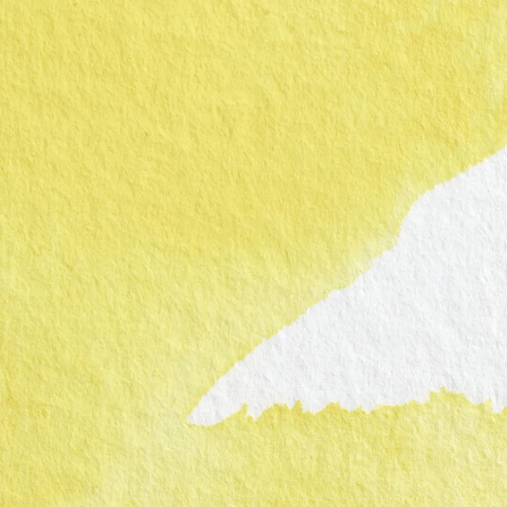 Winsor & Newton Farba akwarelowa Professional w półkostce - - Bismuth Yellow